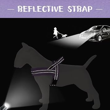 Didog No Pull Dog Harness for Small Medium Dogs, Floral Print, Purple, S | Soft Flannel Padded, Quick Fit, Easy On and Off, Night Safty, Adjustable & Reflective for Walking and Training, Chest 19-22