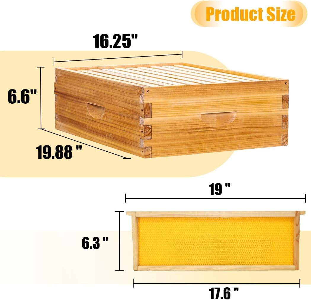 Honey Lake 10-Frame Beehives Starter Kit – Complete Langstroth Hive with 1 Deep Brood Box & 1 Medium Super, Beeswax-Coated, Includes Beehive Frames & Waxed Foundation Sheets