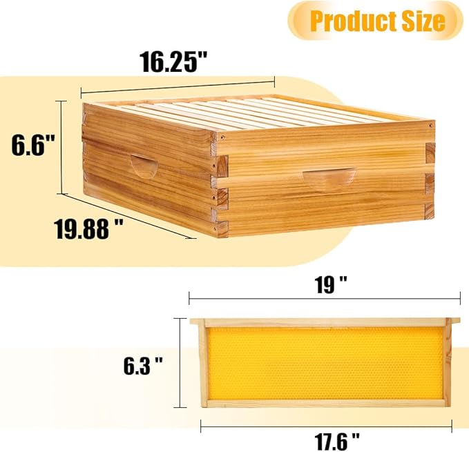 Kit de Colmena de 10 Marcos Langstroth con 1 Caja de Cría y 1 Alza Mediana miniatura 4