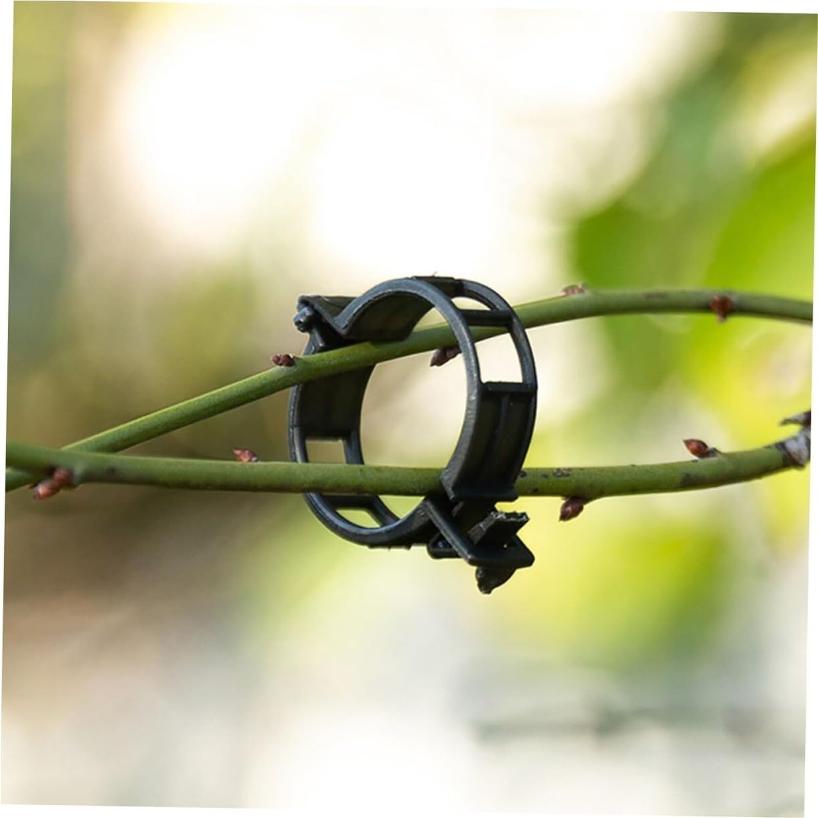Mollette di sostegno per rampicanti da giardino, Clip for piante da giardino da 500 pezzi: supporti for stelo, clip di supporto for vite, materiale PP