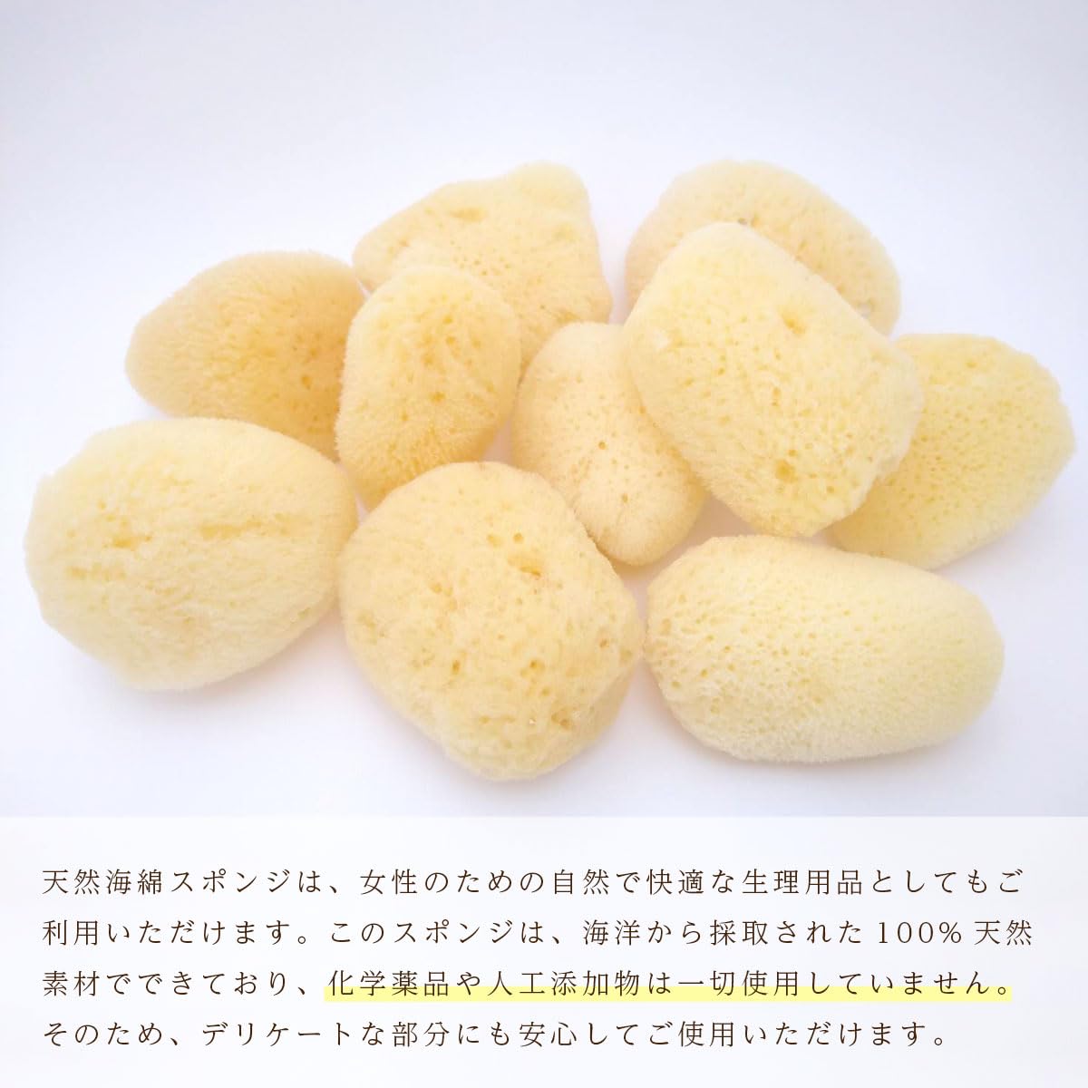 Amazon.co.jp: 天然海綿シルク種 (4-5㎝) Mサイズ キメが細かく優しい