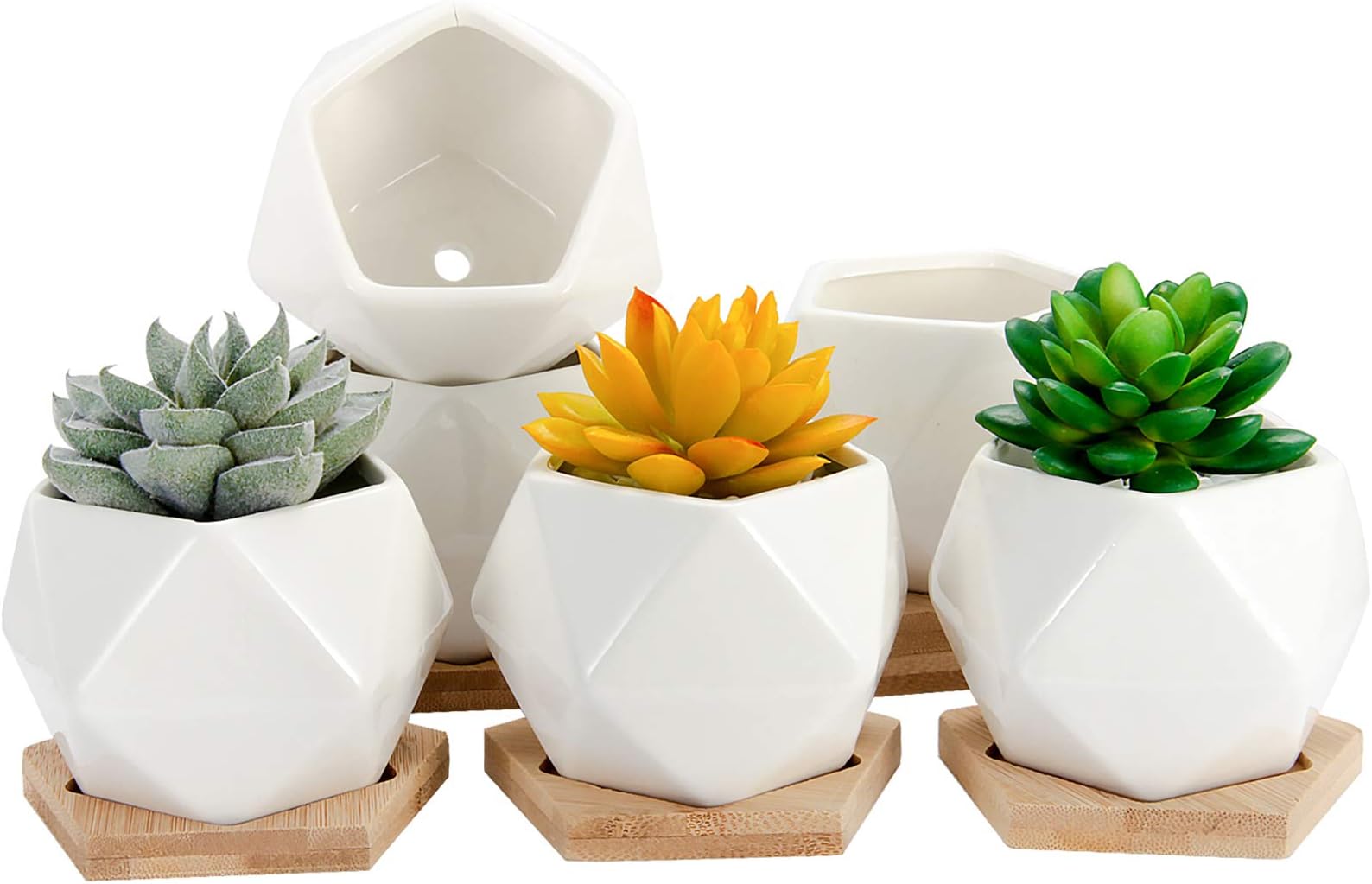 OAMCEG Succulent Pots, 3.54 Inch Geometric Succulent Planter, Set of 6 White Ceramic Succulent Cactus Plant Pots with Bamboo Tray and Drainage Hole (Plants NOT Included)