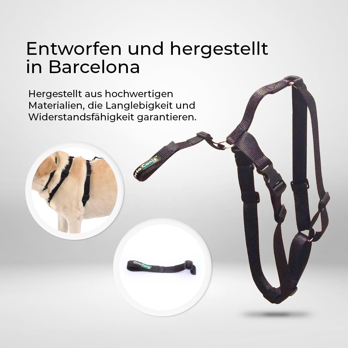 Ortocanis - Haltegurt für Kniebandage Hund - Verhindert das Abrutschen und Sichert die Kniebandage - Fördert die Stabilität - Größe Gurtband + Geschirr: L 69-96 cm