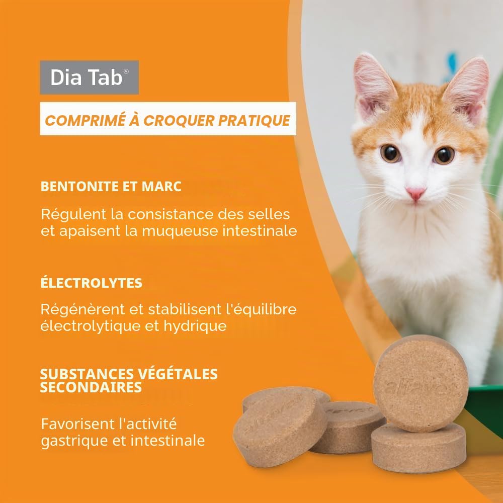 alfavet Dia Tab, complément Alimentaire diététique pour Chiens et Chats, comprimés à mâcher Contre la diarrhée et Les vomissements, 60 x 5,5 g