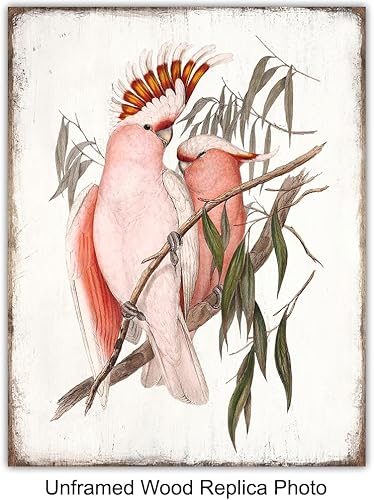 Miniatura 10 de Bird Wall Art - Bird Wall Decor - Tropical Wall Decor - Tropical Birds - Parrot Decorations - Parakeet, Cockatoo, Lovebird, Toucan Wall Art -