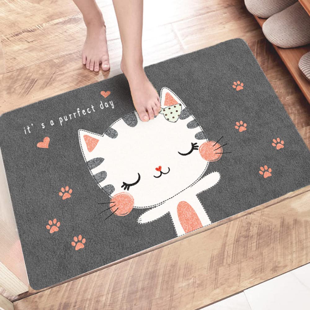 Paillasson Entree Exterieur Chat Gris Foncé Tapis Paillasson d Entree Interieur Tapis de Bain Antidérapant Paillasson Lavable en Machine Paillasson Extérieur Absorbant Tapis Entree(90x150cm)