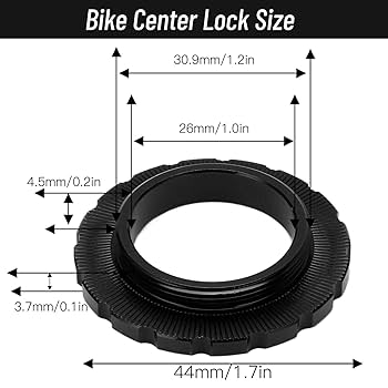 CDL Axis Ring 15号 61w1n0MVvaL._UF350,350_QL80_.jpg
