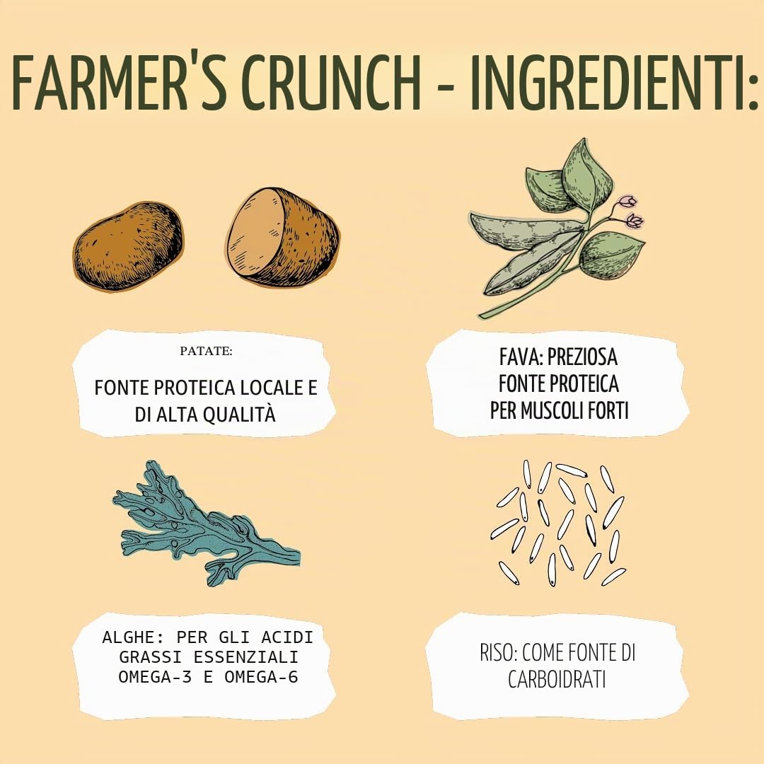 VEGDOG Farmer's Crunch Crocchette Ipoallergeniche (10 kg) | Cani Adulti | Senza Glutine e Soia, Povero di Purine | Alimento Completo per Allergici con Proteine di Patata