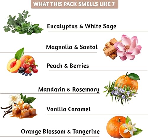 Miniatura 6 de Varillas de incienso (Un nuevo comienzo, juego de 12 (240 varillas) con soporte)