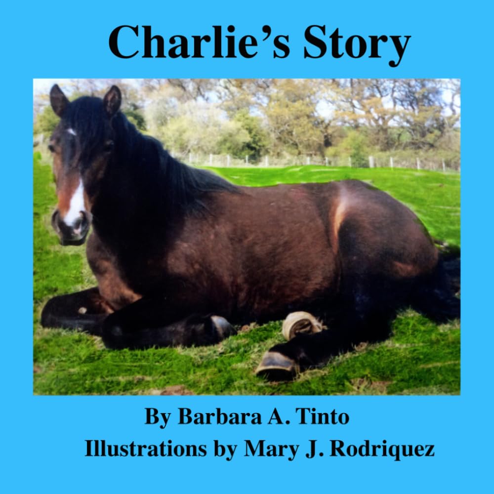 Charlie's Story