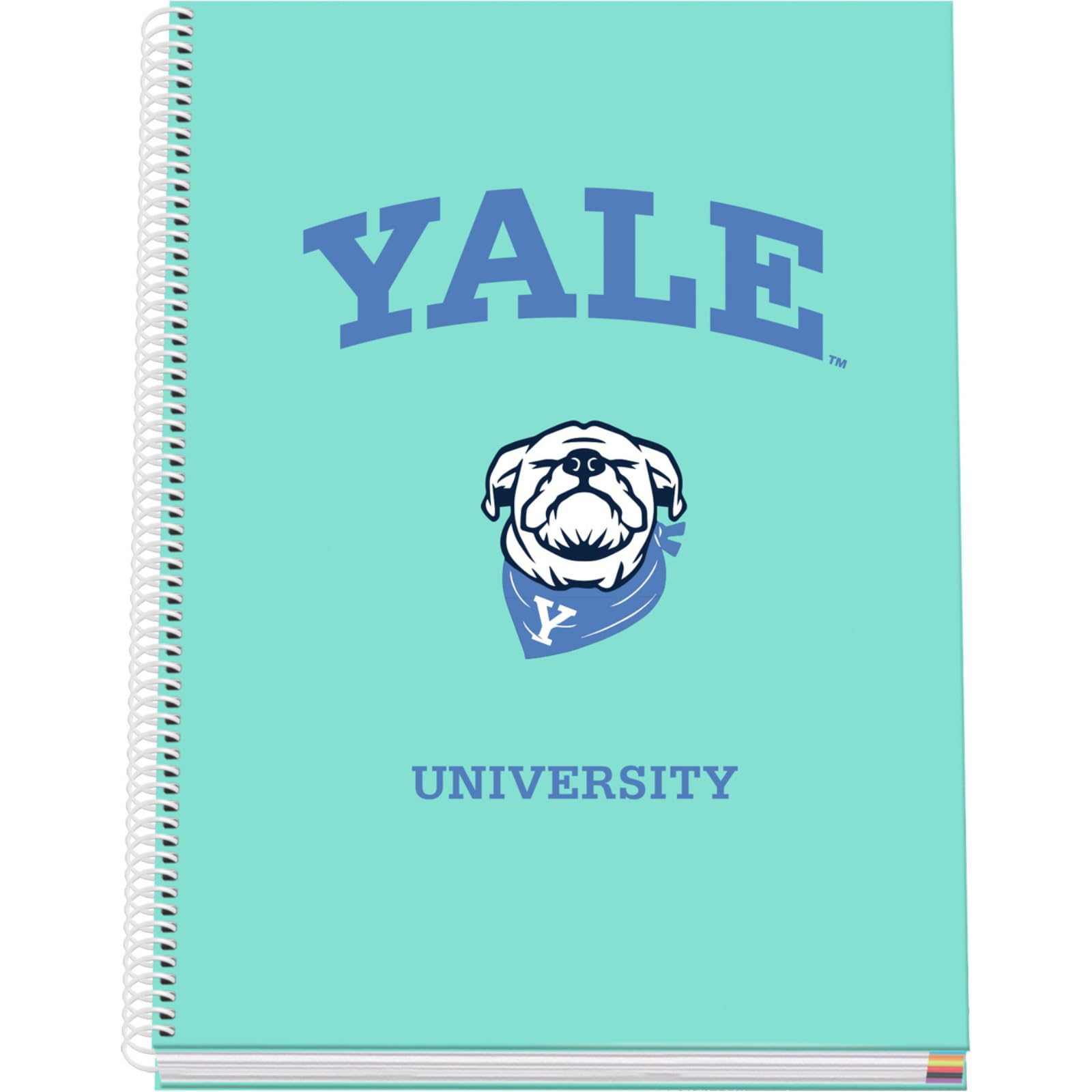 DOHE - A4 Squared Notebook – 100 Sheets, 90 gsm, Size 22.8x30 cm, Hard Cover, Ring-Bound, 5 mm Grid, School Supplies – Yale University Dog