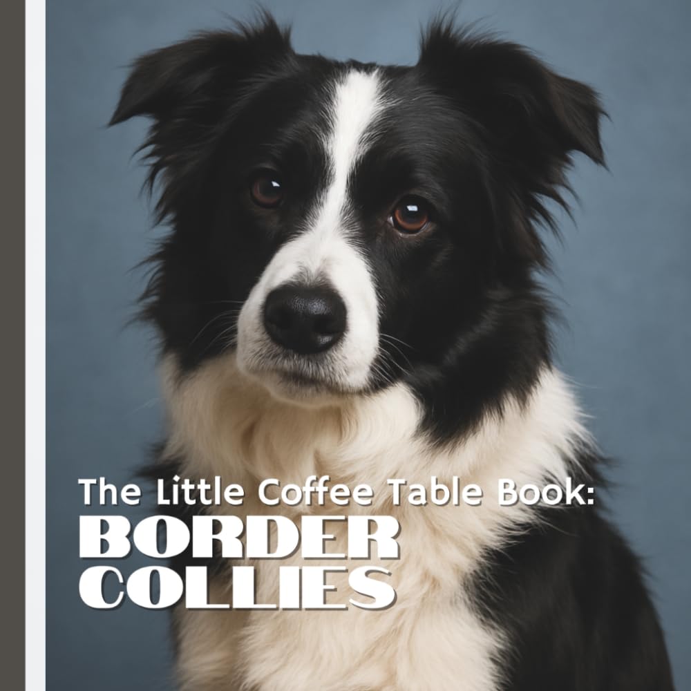 The Little Coffee Table Book: Border Collies: 75 fascinating facts, stunning full-page photos, and delightful trivia that celebrates everything from their history to their hilarious habits.