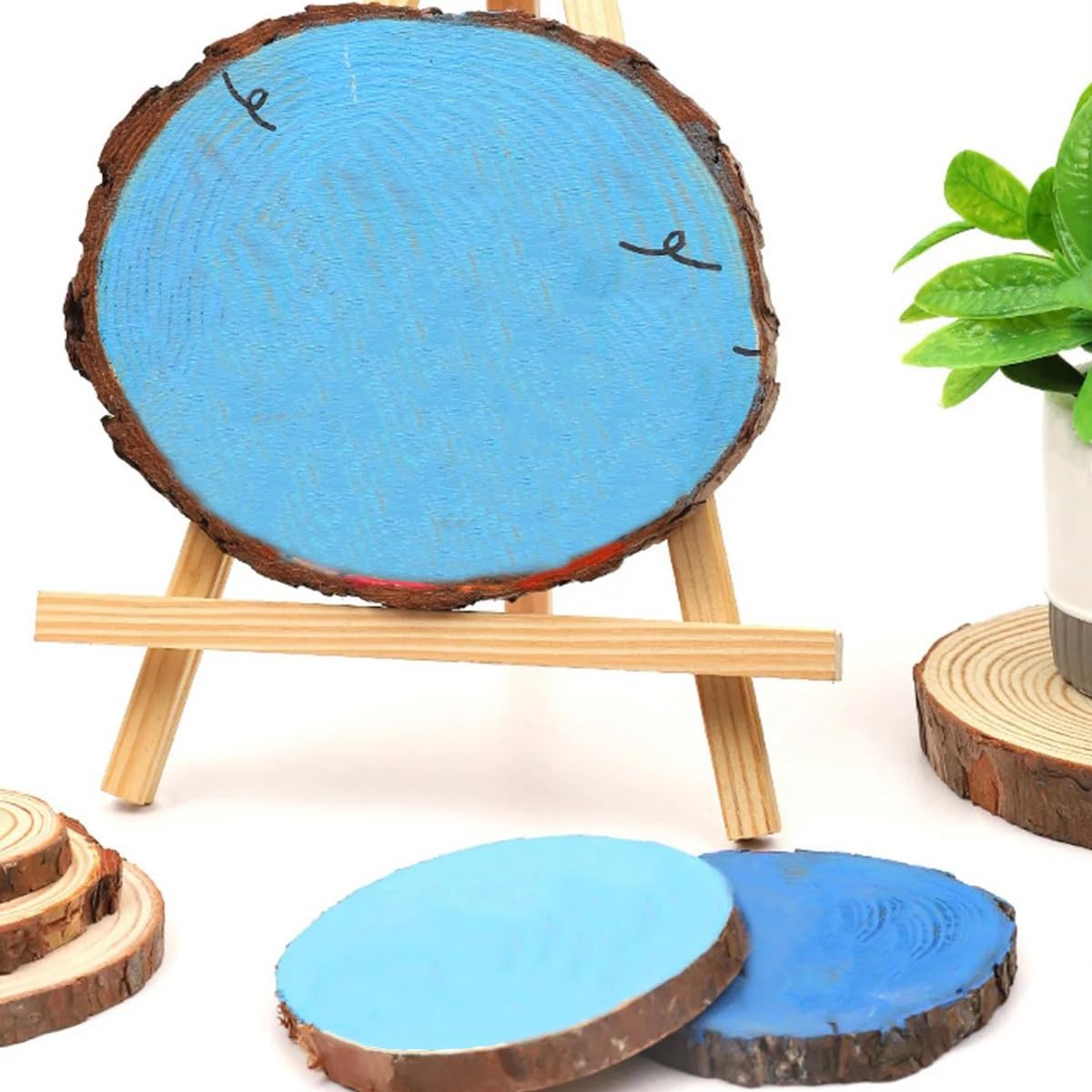 Disques en Bois avec écorce, Dessous De Verre, Lot De 1 (26-28 Cm)