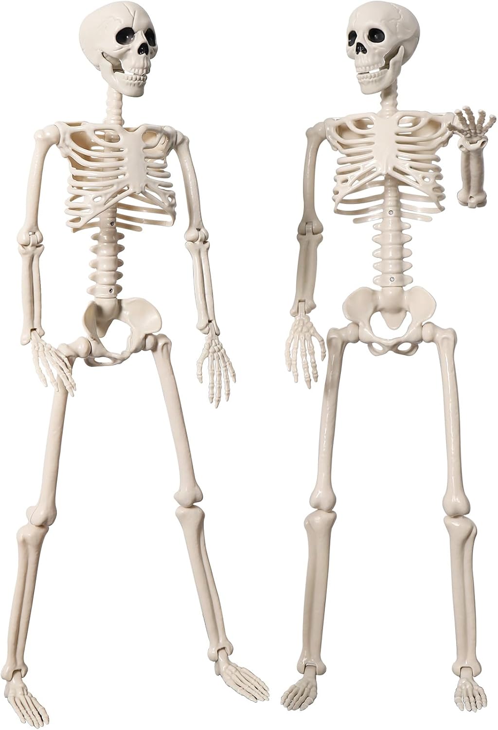 2 Pack 36" Halloween Skeleton Decorations, 3FT Realistic Full Body Movable Posable Joints Skeleton, Creepy Halloween Plastic Human Bones for Party Decor Lawn Haunted House Graveyard Props Outdoor Beige