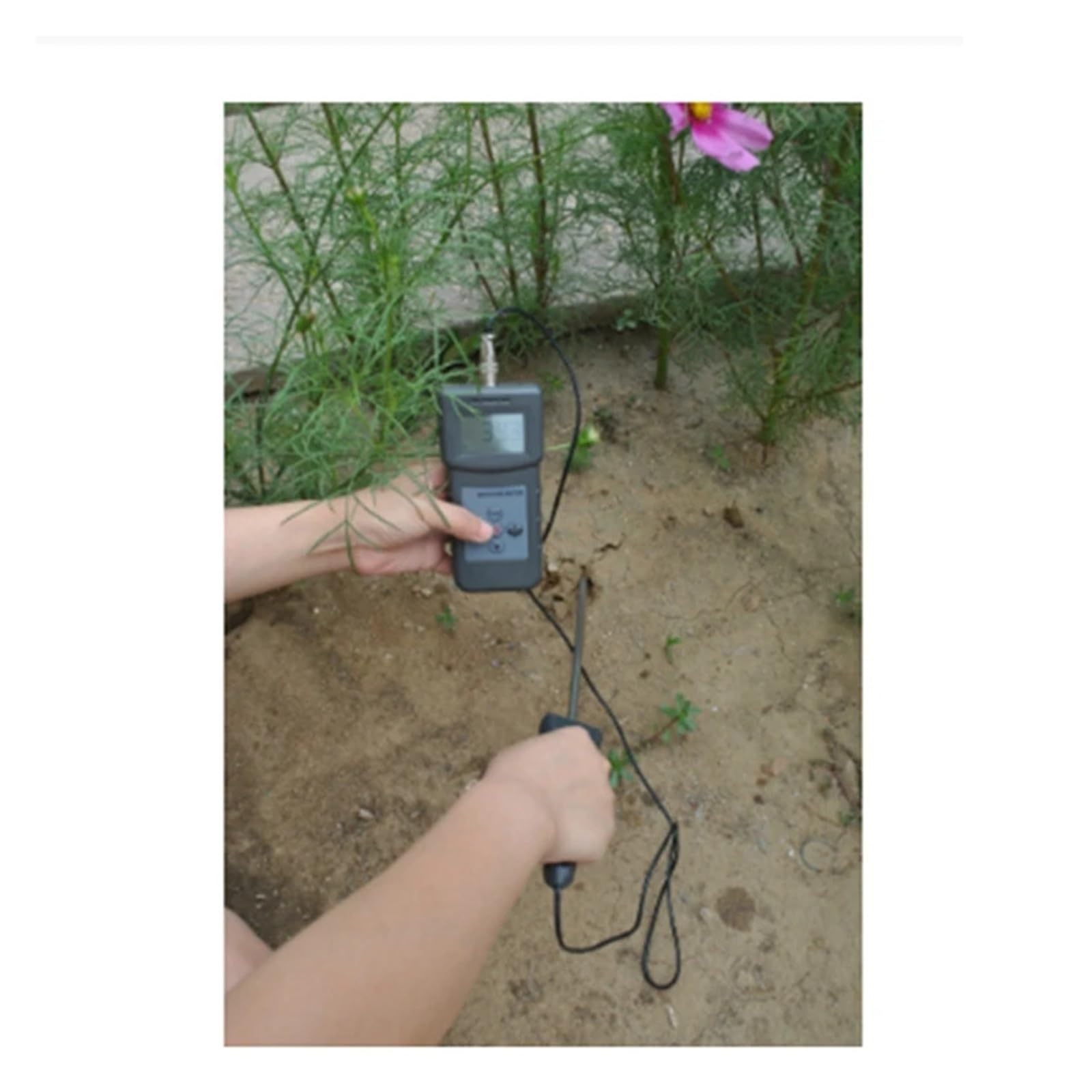 Mesure de l'humidité du Sol 1 Pièces PMS710 Numérique Humidimètre De Sol Test Rivière Sable Sol Ciment Terre Capteur Plastique Métal Fiable et précis