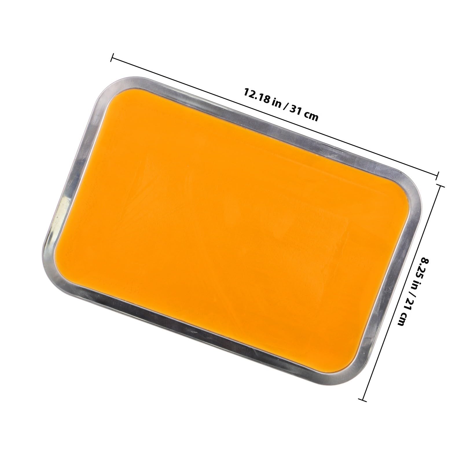 Vassoio per Dissezione in Cera in Acciaio Inossidabile Leggero e Sicuro, Dimensioni 21x31 Cm, per Taglio Carta e Scopi Didattici