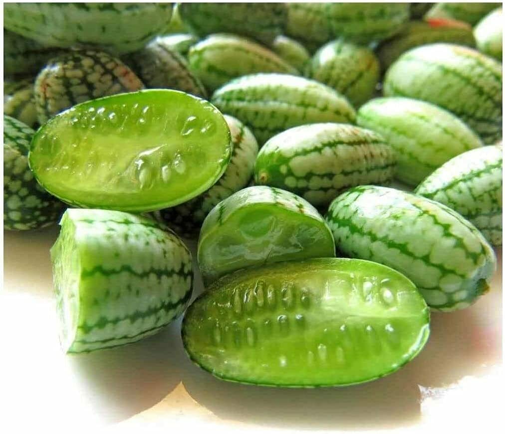Vegetable - Cucamelon - Upto 50 Seeds - 40 Seeds - Great for your garden