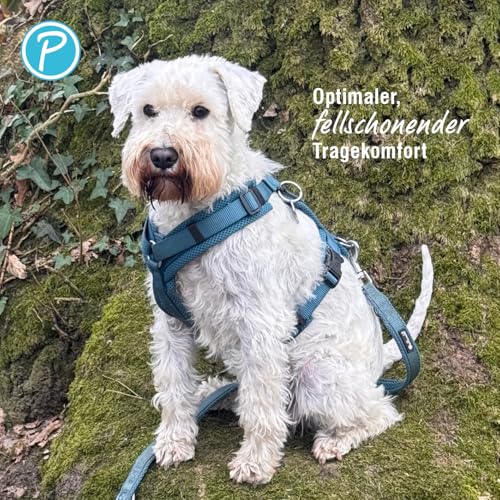 Petlando Hundegeschirr Mesh Y-Comfort – weich gepolstert, stufenlos verstellbar, besonders leicht und atmungsaktiv, fellschonend, ergonomisch – L, Petrol