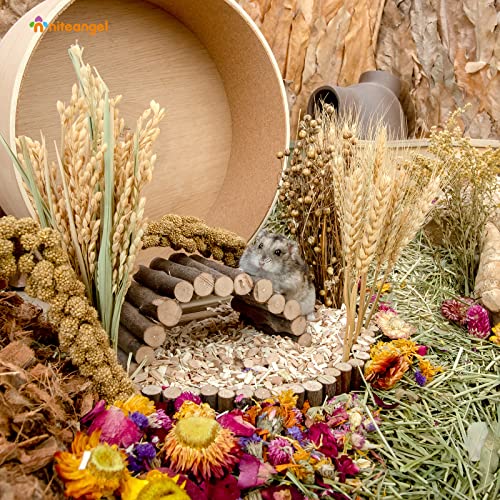 Image of Niteangel Natural & Soft Hamster Bedding Mate Small Animal Habitat Decor for Syrian Dwarf Hamsters Gerbils Mice Degus Bunny or Other Small-Sized Pet
