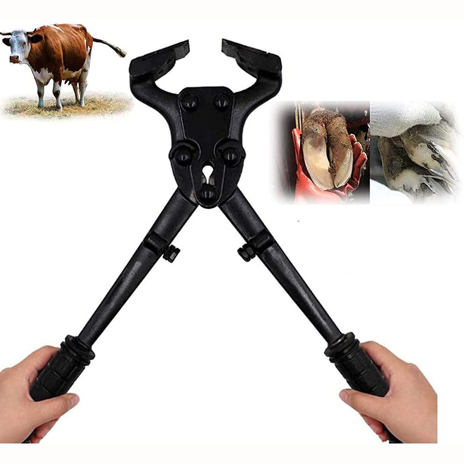 Alicates Profesionales De Metal para Cascos De Caballo,Suministros estables de Acero Herramienta de Limpieza Alicates de Anillo de Bloqueo para Reparar pezuñas duras de Animales Grandes y medianos