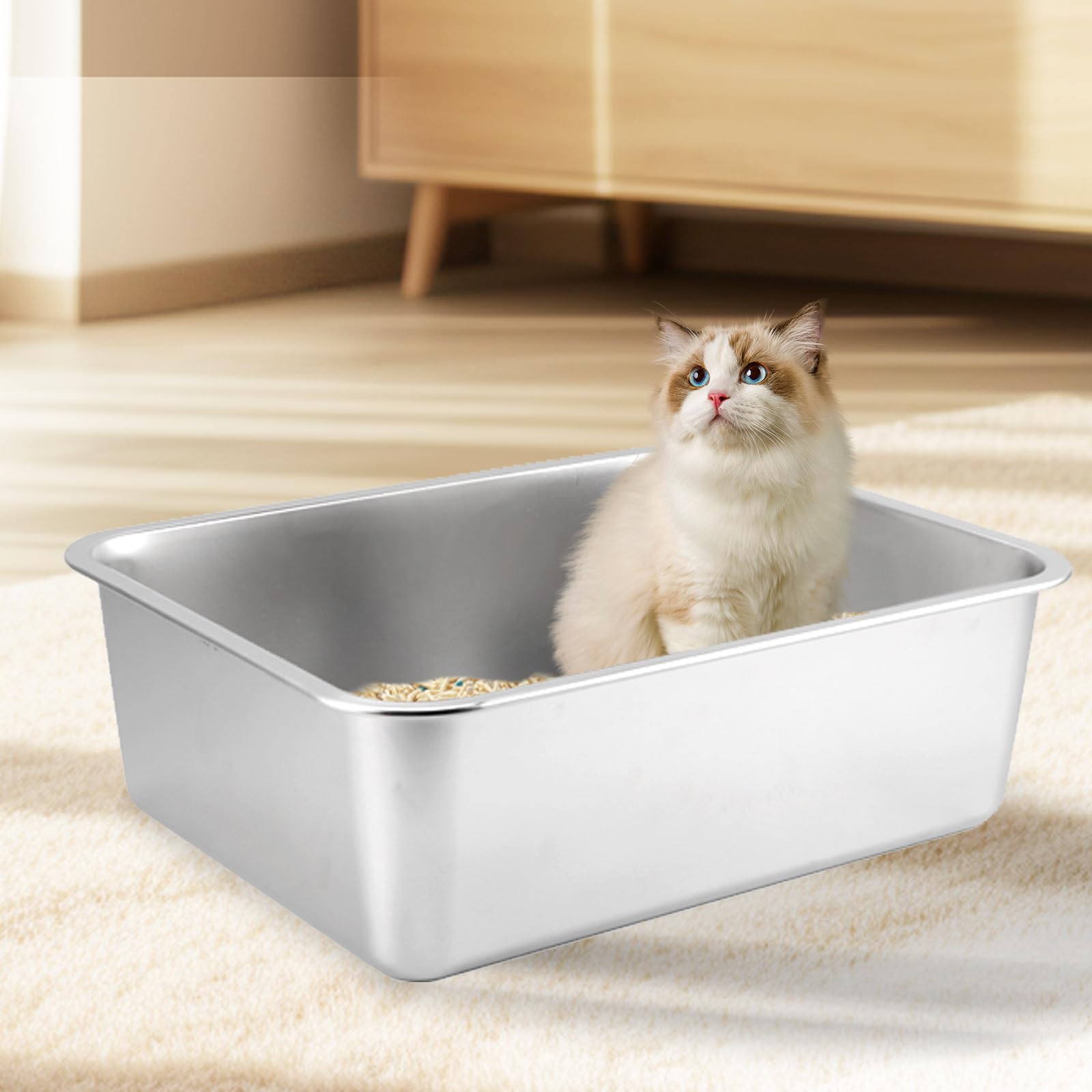 Bac à litière pour chat - Grand bac à litière pour chat - 50 x 35 x 15 cm - Sans odeur - Antiadhésif - Surface lisse (50 x 35 x 15 cm)