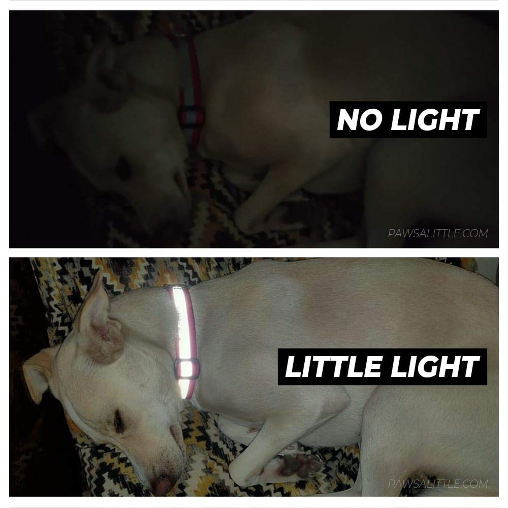 Pawsitivity: India’s Smart Reflective Collars for Stray Dogs, QR Scan Enabled, Affordable, Adjustable, Durable | Multicolor, Pack of 5