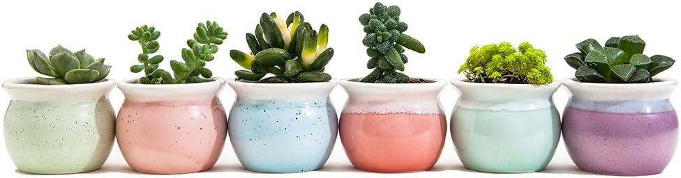 SUN-E 3 Inch Concise Style Container Bonsai Planters Ceramic Flowing Glaze Base Serial Set Six Color Succulent Planter Pot Cactus Plant Pot Flower Pot Window Box with Hole(6 in Set)