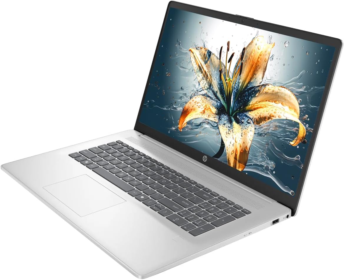 HP 17 Laptop, 17.3" HD+ LED Anti-Glare Touchscreen Business Laptop Computer, Windows 11 Laptop 32GB RAM 1TB SSD, AMD Ryzen 5 Processor, AMD Radeon Graphics, Numeric Keypad, NLY Earphones, Silver
