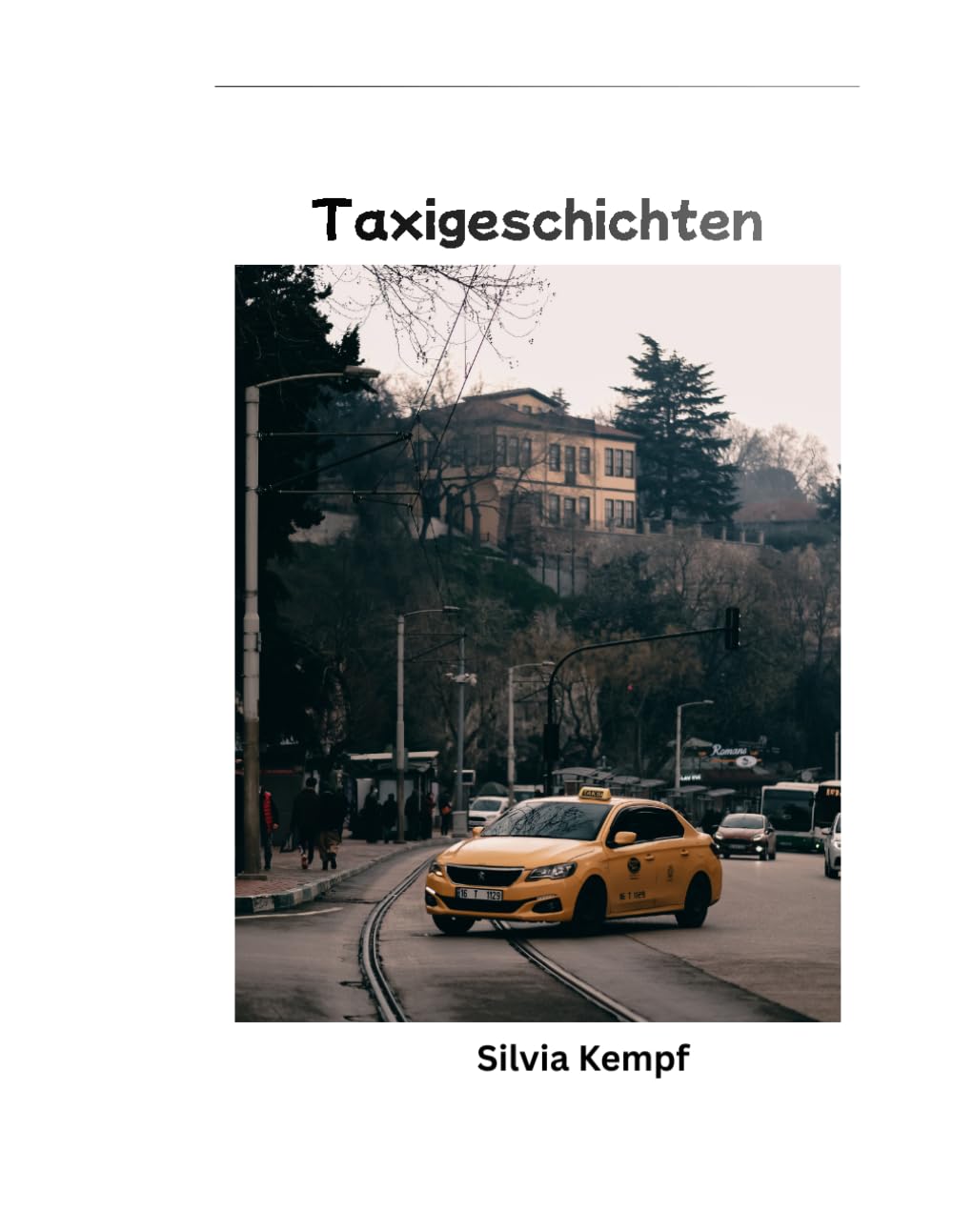Taxigeschichten: Erlebnisse und Gedanken einer Taxifahrerin