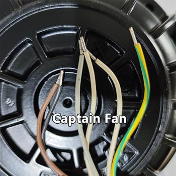 61w2LKWqClL._UF350,350_QL80_.jpg