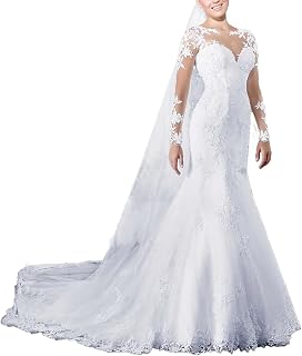 Mermaid/Trumpet Open Back Sexy Wedding Dress Illusion Neck Chapel Train Bridal Gowns with Lace Appliques 2024
