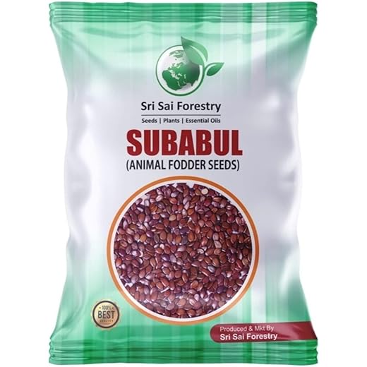 Subabul Tree Seeds for Plantation 250G