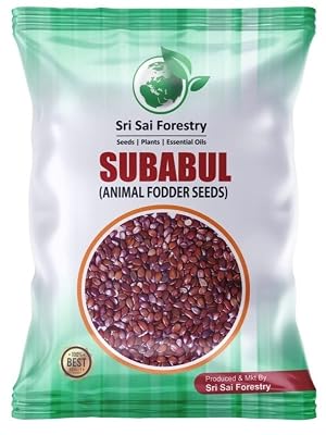 SRI SAI FORESTRY Subabul Tree Seeds for Plantation (Safed Babool, Soundal) Subabul Seeds for Fodder - 250G