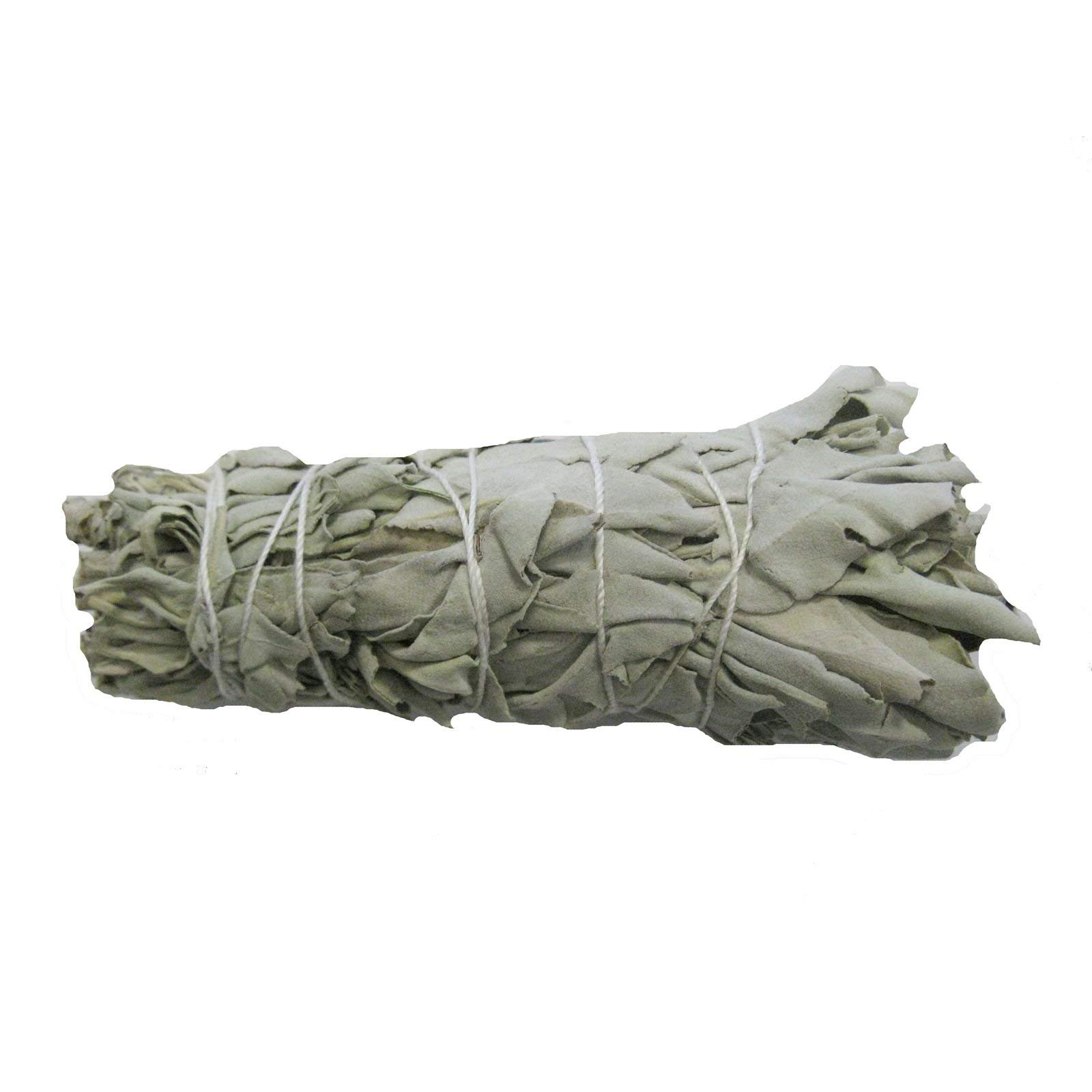 Weißer Salbei zum räuchern 12x White Sage für Rauhnächte, Hausreinigung 10-12 cm. Räucherwerk aus Kalifornien für Entspannung, Meditation UVM. mit Räucheranleitung und Beschreibung. 81208