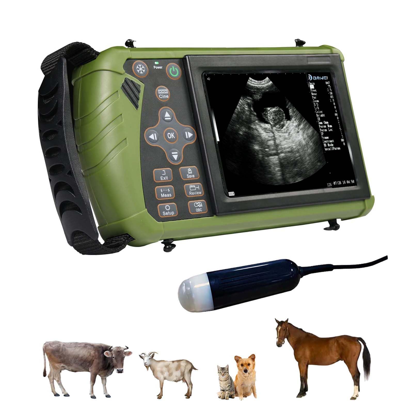 Échographe vétérinaire | Machine à ultrasons B portable avec sonde 3,5 MHz | Convient pour la détection de grossesse du bétail et des animaux domestiques