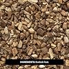 Frontier Co-op Cut and Sifted Burdock Root 1lb