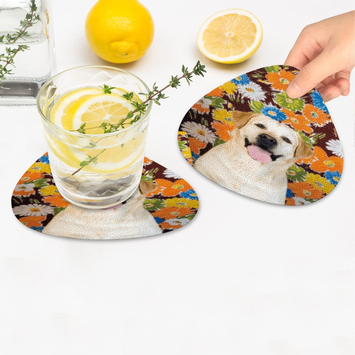 Labrador onderzetter kopen? Vergelijk bij