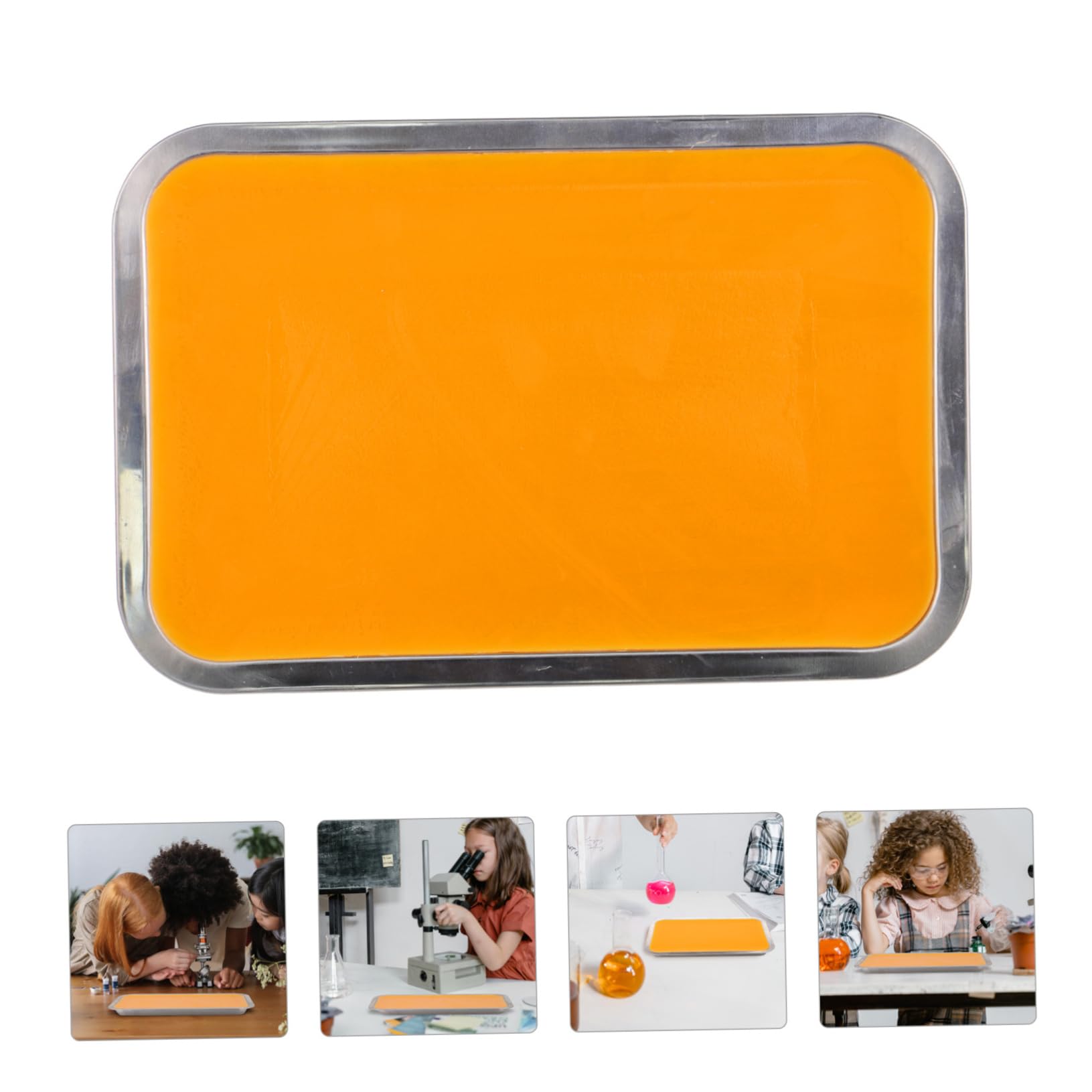 PRETYZOOM Plateau Acier Inoxydable pour Laboratoire avec Cire Utilisation pour Dissection Anatomique