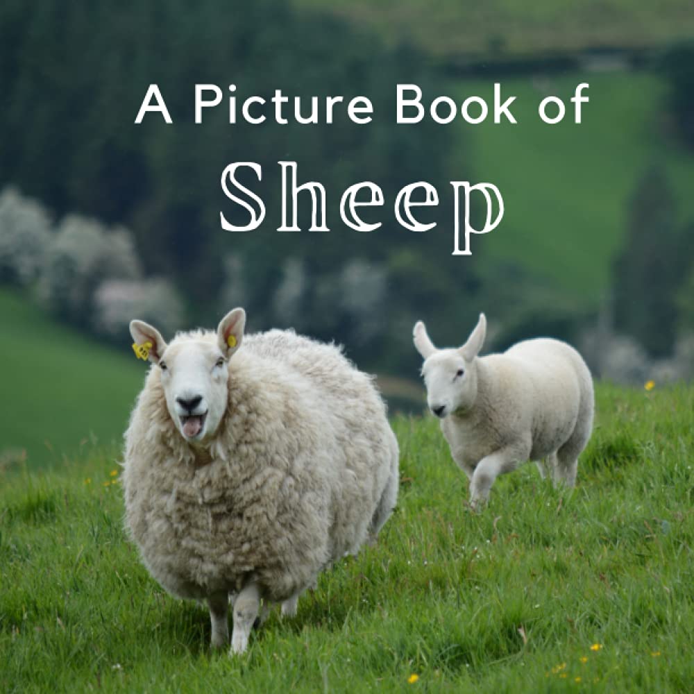 A Picture Book of Sheep: A Beautiful No Text Picture Book for Seniors With Alzheimer’s or Dementia. A Perfect Gift for Sheep Lovers! (Picture Books