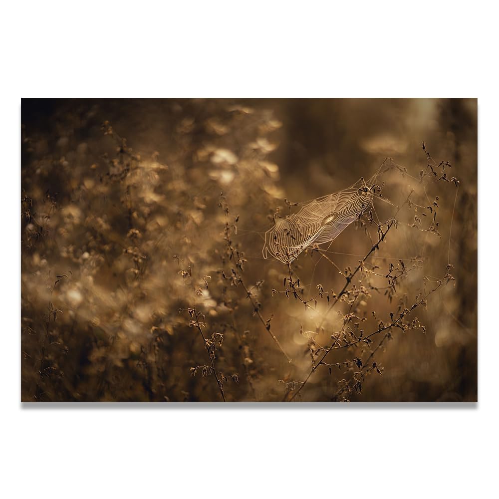 VHdfgTY SpiderwebElegant Mountain Landscape Canvas Wall Art Nature Scenery Home Decor 60x90cm Unframed