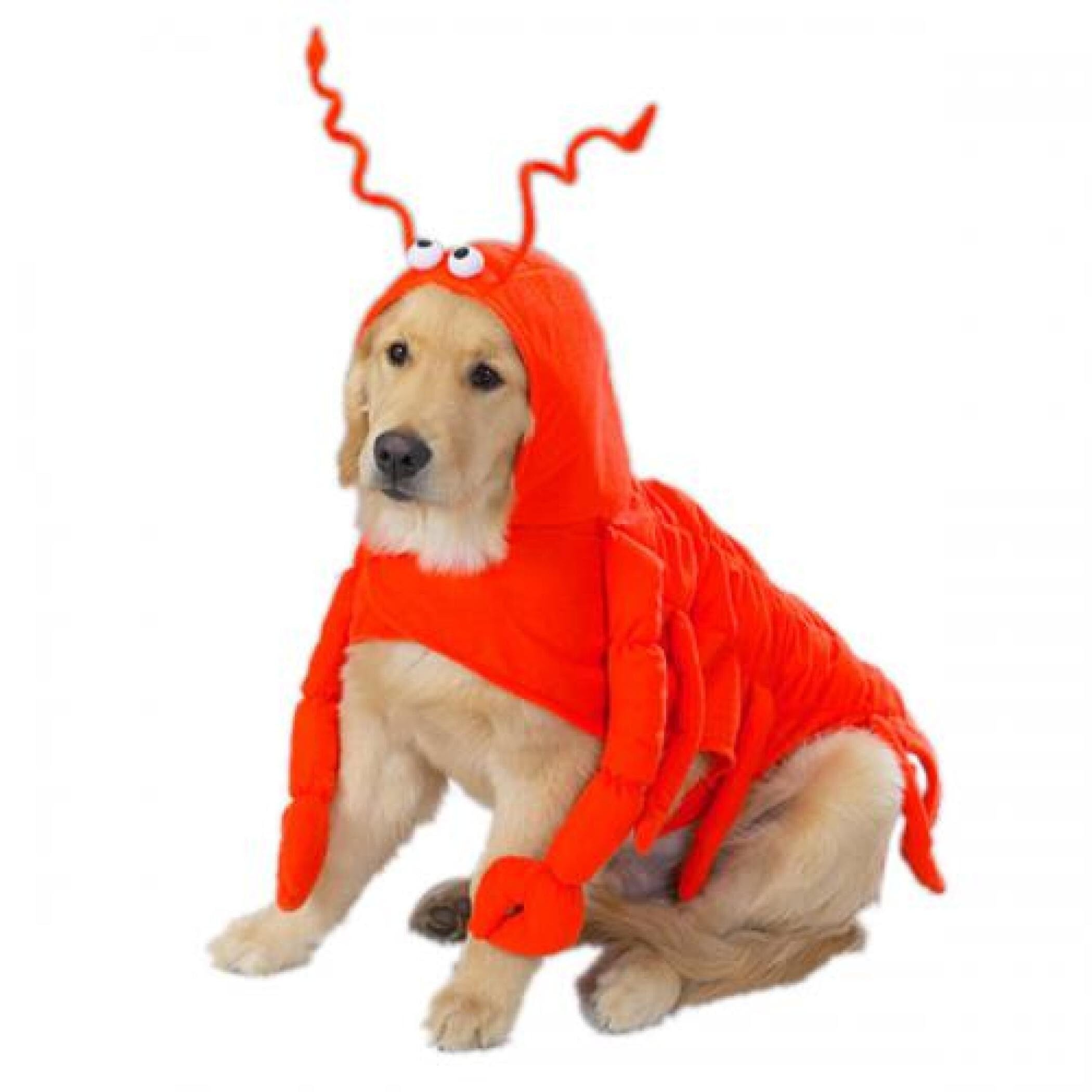Costume homard pour chien confortable Casual Canine S évite le stress
