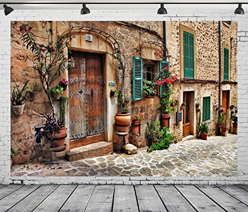 Fond de studio photo de qualité supérieure avec décor maison ancienne et fleurs