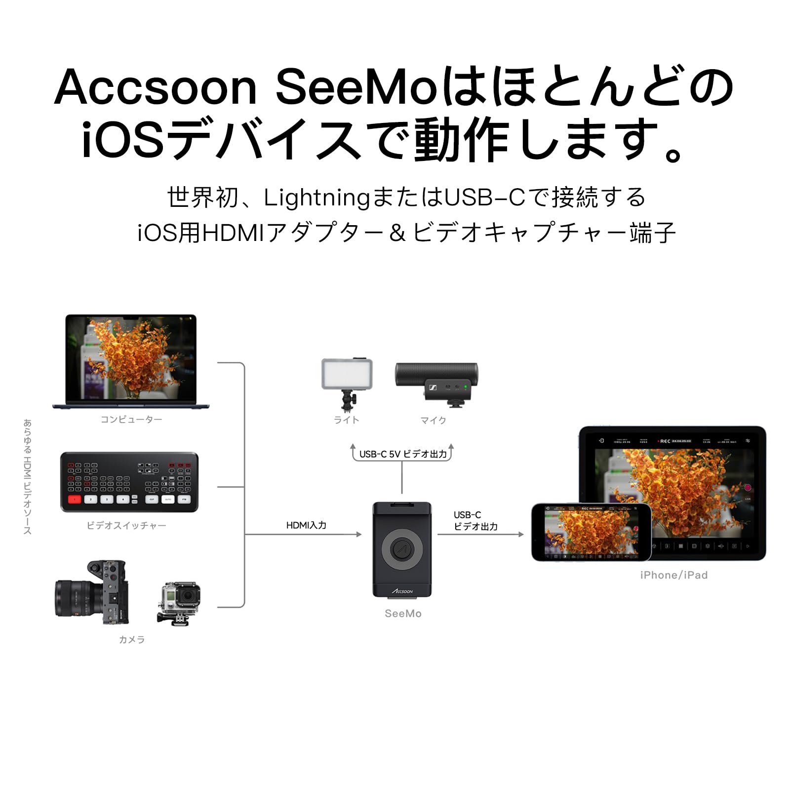 Amazon.co.jp: 【Accsoon正規品】Accsoon SeeMo HDMIビデオキャプチャ