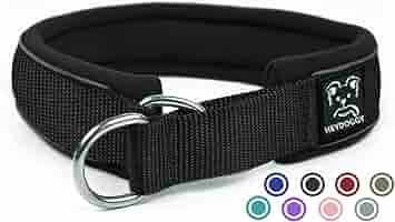 Collare Per Cani Anti Tiro Con Imbottitura Morbida - Nylon Riflettente, Semistrozzo, Taglia XL - Foto 7