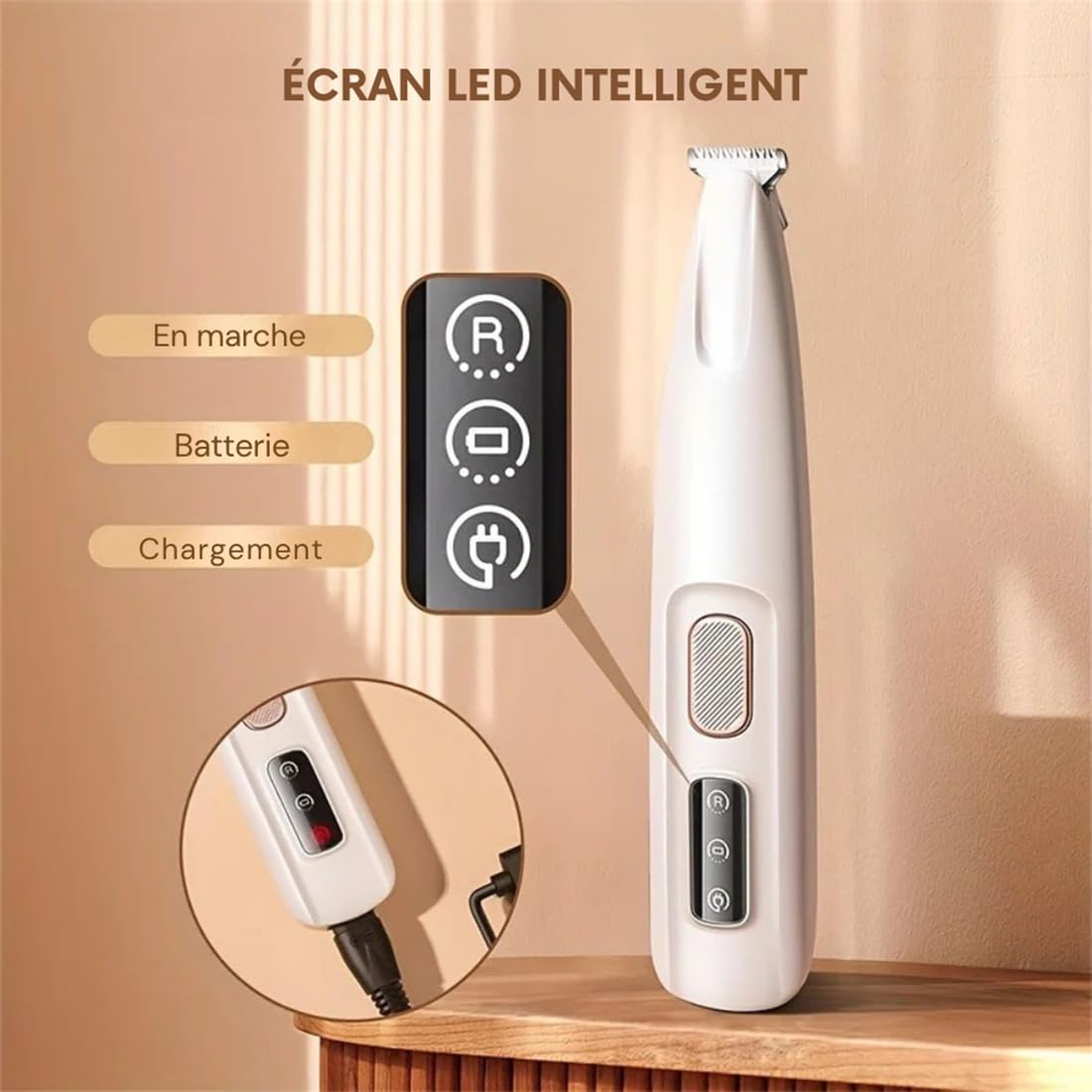 Tondeuse de Précision Silencieuse pour Chat – Toilettage Zones Sensibles, Lames Hypoallergéniques Sécurisées, Rechargeable, Anti-Nœuds & Poils Longs/Courts