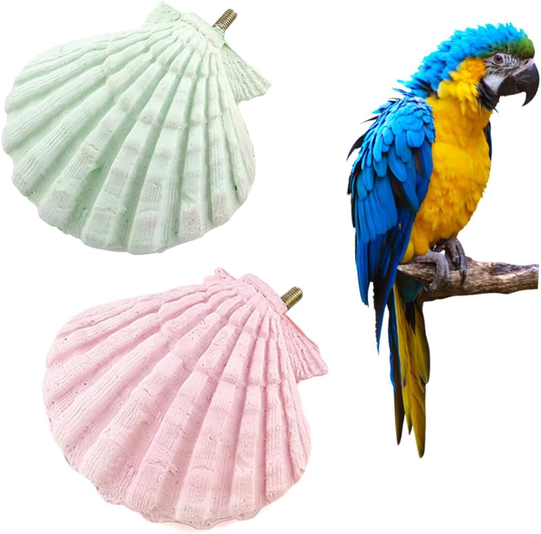 Abaodam 2pcs Parrot Shell Teeth Grinding Stone for Small Pets Calcium Mineral Molars Stone for Rabbits Hamsters and Squirrels Animal Chew and Oral Health Random Color