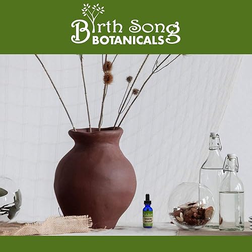 Miniatura 8 de Birth Song Botanicals Tintura energizante de clorofila, gotas de clorofila líquida superconcentradas, suplemento de apoyo energético a base de
