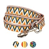 Blueberry Pet Durable Elite Basic Dog Leash with Flame Stitch and Henley Stripes 5 ft x 3/4