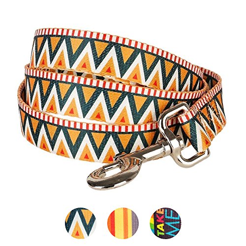 Blueberry Pet Durable Elite Basic Dog Leash with Flame Stitch and Henley Stripes 5 ft x 3/4