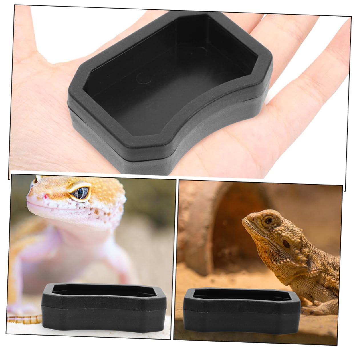 爬虫類 水 エサ入れ 20 【公式通販】
